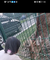 �������޺�ȥ��---����ط�����ιС¹������Ҫ��Ʊ��