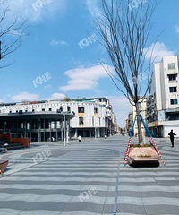 ����·�����껹ͦ�ÿ��� ����ûɶ�˰������̸����㰡��