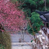 һ���ʼ ���︴��