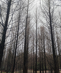 ֲ��԰��÷�����ˣ�������һ��Ƭ������ͣ��λ����...