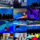 99Ԫ���˺�����Ʊ