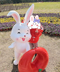 �ں��ݺ��Ϻ���ѡ��Ұ������԰ ���ȥ���Ϻ� ����500Ԫ��