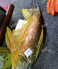 ���ʳ������Ǽ����������ʵı��ذ�������������̫��ɧ��������