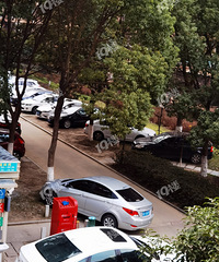 ����Էͣ���ѣ����˰�ص�������λ ��������������û������