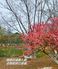 ���������� ��������޿�÷ ����Ȼ���������ֳ�~