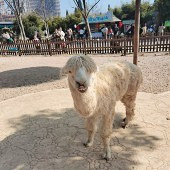 ��֮����������һҹ