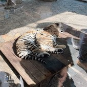 ����Ұ������԰