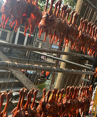 �����Գ��Σ���������һ�ߺ����� һ�ߺ�����