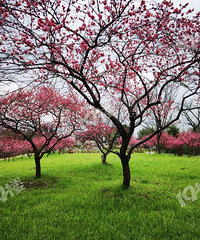 ������÷����÷������������䣬����������~