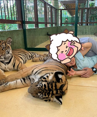 ����һ�����ϻ���������Ļ����е㺦�� ������Ĳ�������