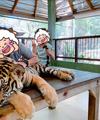 ����һ�����ϻ���������Ļ����е㺦�� ������Ĳ�������