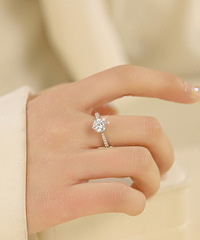 ������䶨�ƣ������