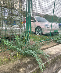 ��������*԰С���Ĳ�ƺ����ͣ���ˣ���N�ξٱ��ˡ�