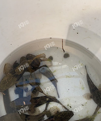 ���ܵ�19¥�����ɶ�㣿��˵������ �е��񰺴��㰡��