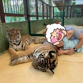 С���������ϻ��ˣ�