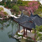 �������ӽ��µ��Ϻ�