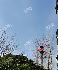 ˫��ȵ�� ���к�լ������С������ȥ����Ҫ��ϲ���ˣ�