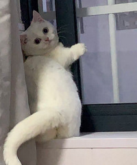 �������������ϣ���������ѵ���91��ҽ�� �Ը��º� �����