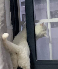 �������������ϣ���������ѵ���91��ҽ�� �Ը��º� �����