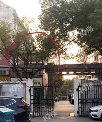 �����顿���ⷿ��ô��� ��������ھӻ�Ͷ����