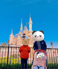 ��˹����԰�Ƕ�ô����������������һ�� ����Ĳ��У�