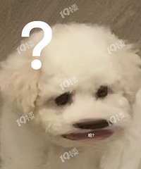 �ڼ���ĳ�̳�������Ҫ�����Ĵ��壡���������ǡ�