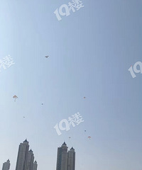 ���������Ĺ�԰ȫ���� �����������������