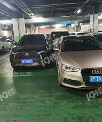 Ϲͣ�������ѣ���ֻ���鷳��Ӹ����ϳ���