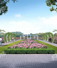 ����������ֲ��԰ӭ����仯��Ԥ������µ׸��쿪����