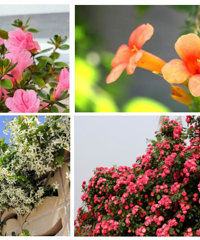 ����컨������������Щ�㶼���ԣ�