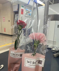 ���츾Ů�� ���������������ϻ��յ��ʻ��ˣ���ʽ��������