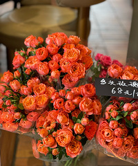 ���Σ�Ů�����Ů���ǰ���Ψһ����ʦ�ͻ��� �ᱻ����ͬѧ������