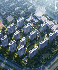 �����衤��������