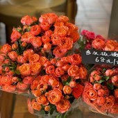 Ů�������ʦ��