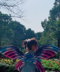 ��ʦ�涨���ܴ�ȹ�� �ұ�ʾ֧�֣�Ȼ��������Ů������Ҫ��ȹ��