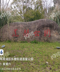 ȥ��10����19¥�ع�Ĺ�԰ ����żȻ·�� ��Ĵ������