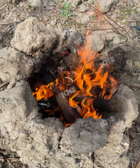 �������������������������Ҫ����ֽ��~