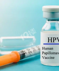 �Ϻ����Ľ�����HPV�������Ƕ������𣿶����������أ�