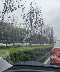 ����δ��������Ժ������ն³ɹ��ˣ��ҵ���ͷ����һ��Сʱ��