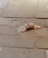 ��ĩȥ�����棬�߽�һ�� ���Ͼ�Ȼ��һ�����֡������Ӷ�������