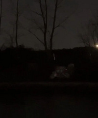 ��ͩ��С�����������������Ӱ�һ�  �����뿪 �����ڸ�ɶ��