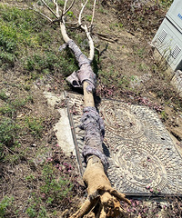 �Ͼ�С������� С��������µ����׷����ˡ�