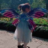 ȥ�׶�԰����ȹ��