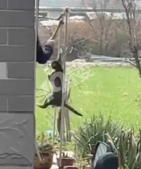 ��������Űè����è�������������ͷ�����ô�����ͷ��