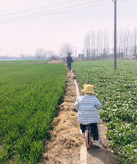 9�¾�Ҫ���׶�԰�� ƽʱ�����Լ��� �б�Ҫȥ���а���