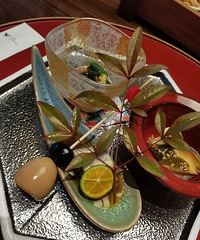 ���˸߶˻�ϯ���� ��ʽͥԺ������ ���������