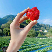 85���� ���ѵ�