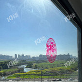 ��Ʋ�������������