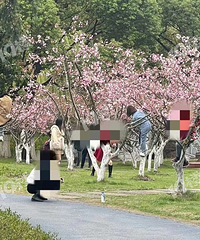 ���Ϲ�԰���ٹ����������ģ�ӣ������ ������