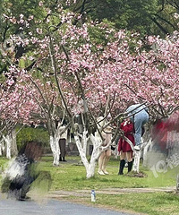 ���Ϲ�԰���ٹ����������ģ�ӣ������ ������